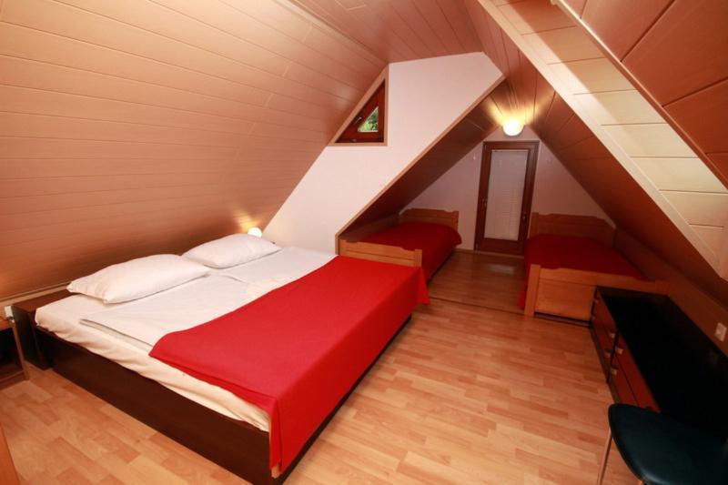 Apartma Pri Bizjaku Bohinj Zewnętrze zdjęcie
